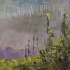 Found Wandering - Found Wandering